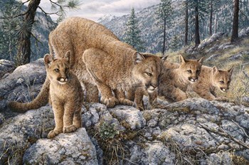 Cat Family by Jeff Tift art print
