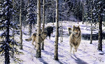 Pursuit by Jeff Tift art print