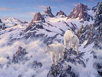 Among The Clouds - Mtn. Goat by Jeff Tift art print