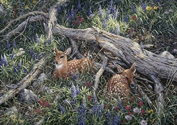 Fawns And Flowers by Jeff Tift art print