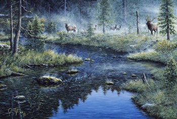 Misty Morning by Jeff Tift art print