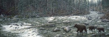 Cool Creek by Jeff Tift art print