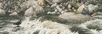 Swift Water by Jeff Tift art print