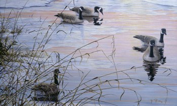 Sunset Serenity by Jeff Tift art print