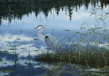 Blue Reflections by Jeff Tift art print