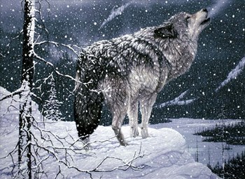 Lone Wolf by Jeff Tift art print