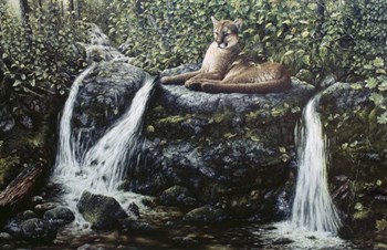 Solitude by Jeff Tift art print