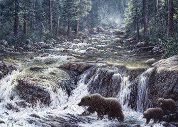 Bear Crossing by Jeff Tift art print