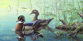 Wood Ducks by Jeff Tift art print