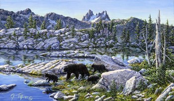 Black Bear by Jeff Tift art print