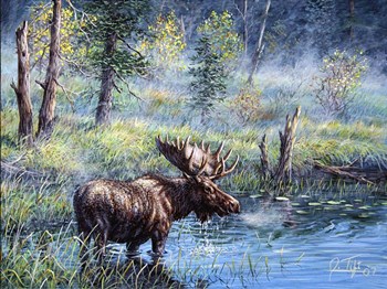 Moose Painting 1 by Jeff Tift art print