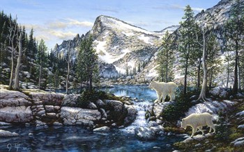 Summer In The Enchantments by Jeff Tift art print