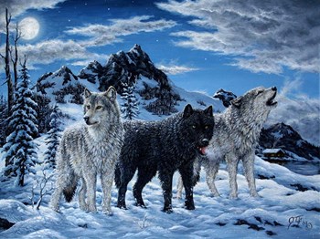 Night Howl by Jeff Tift art print