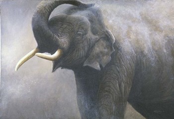 Asian Elephant Dusting by Dr. Jeremy Paul art print
