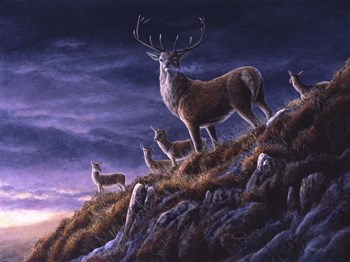 Threatening Sky Red Deer by Dr. Jeremy Paul art print
