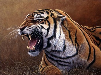 Final Warning by Dr. Jeremy Paul art print