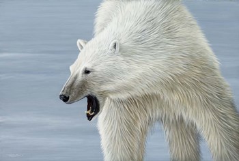 Polar Bear by Dr. Jeremy Paul art print