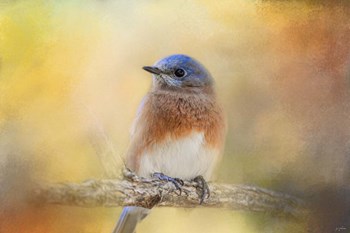 Autumn&#39;s Treasure by Jai Johnson art print