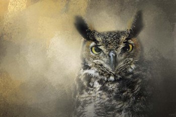Golden Eyes Great Horned Owl by Jai Johnson art print