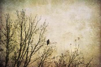 Greeting The Sun by Jai Johnson art print