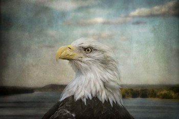 The Overseer by Jai Johnson art print