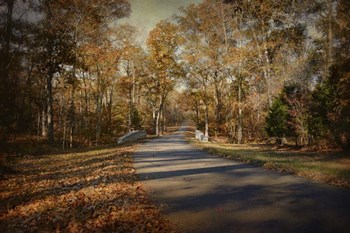 A Joyful Place by Jai Johnson art print