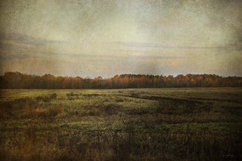 Autumn Flame by Jai Johnson art print