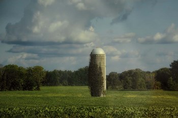 Country Beacon by Jai Johnson art print