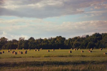 Facing The Sun by Jai Johnson art print