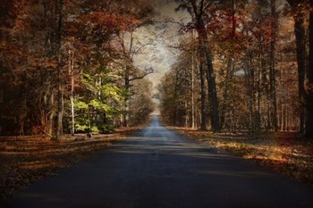 It&#39;s Not Easy Being Green by Jai Johnson art print