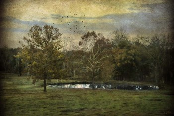 Quiet At The Pond by Jai Johnson art print