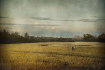 The Sunrise Hour by Jai Johnson art print