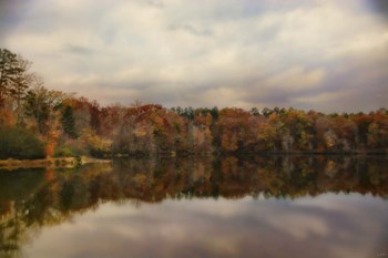 Autumn At Lake LaJoie 1 by Jai Johnson art print