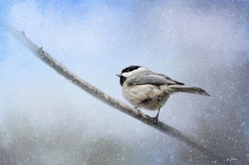 Chickadee In The Snow by Jai Johnson art print
