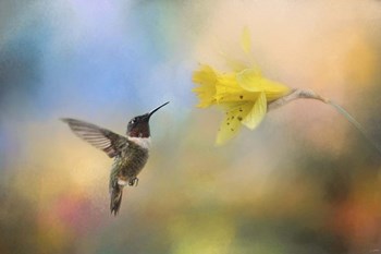 Garden Visitor by Jai Johnson art print