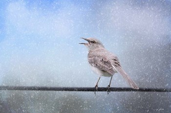 Mockingbird In The Snow by Jai Johnson art print