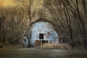 Redtail At The Blue Barn by Jai Johnson art print