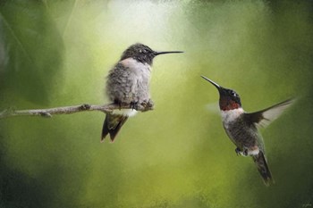 Wake Up Call Hummingbirds by Jai Johnson art print
