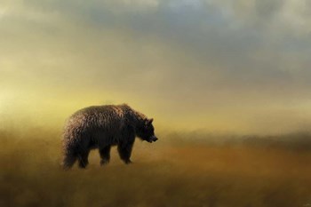 Where The Grizzly Roams by Jai Johnson art print