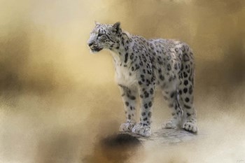 Snow Leopard by Jai Johnson art print