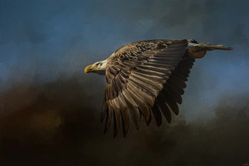 Storm Chaser Bald Eagle by Jai Johnson art print