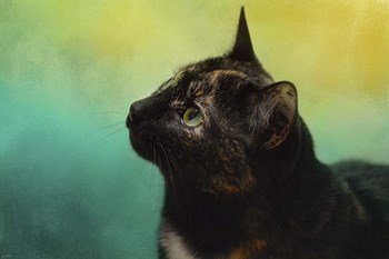 By The Light Of The Sea by Jai Johnson art print