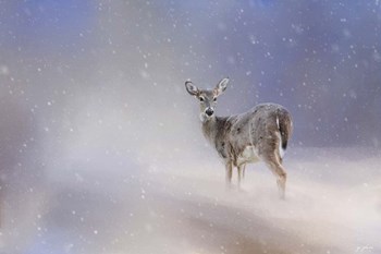 Doe In The Snow by Jai Johnson art print