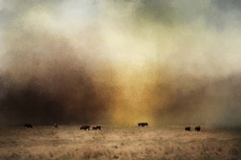 Where The Buffalo Roam by Jai Johnson art print