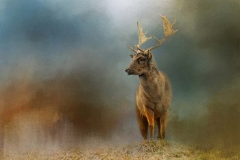 Painterly Fallow Buck by Jai Johnson art print