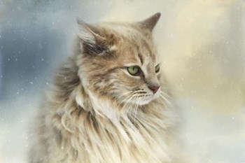 Watching Snow Fall by Jai Johnson art print