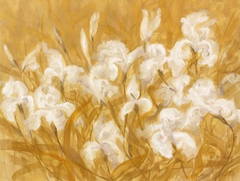 Irises II by Li Bo art print