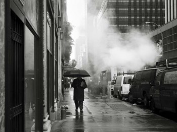 NYC Rain by Nina Papiorek art print