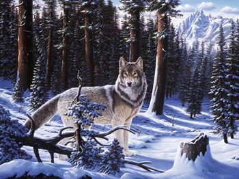 Big Timber by R.W. Hedge art print