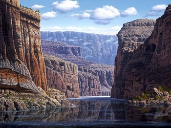 Nature&#39;s Way by R.W. Hedge art print